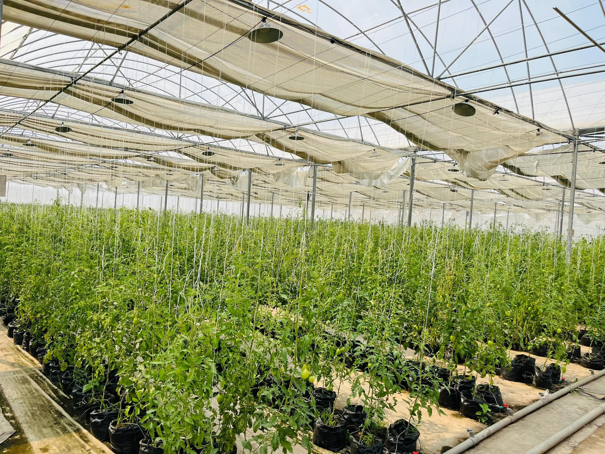 WhatsApp Image 2025-08-04 at 12.22.17 AM