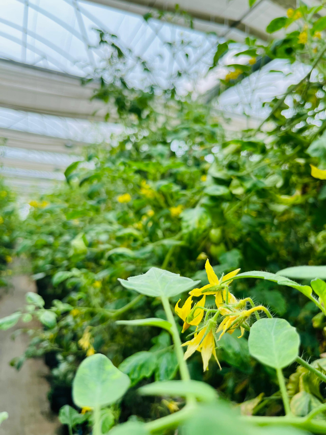 WhatsApp Image 2025-08-04 at 12.22.34 AM (3)